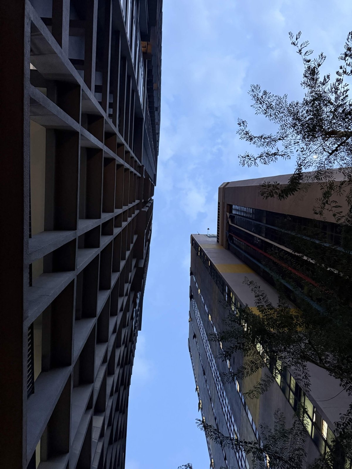 Looking straight up a narrow gap between two towers at dusk, a deep concrete grid facade on the left and a glass and steel block on the right, with tree branches over pale blue sky.